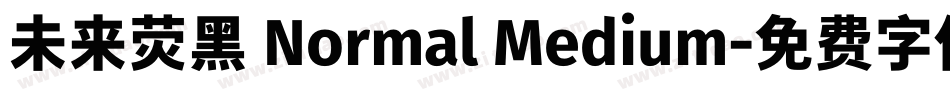 未来荧黑 Normal Medium字体转换
